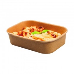 ENVASE KRAFT LAMINADO PP...
