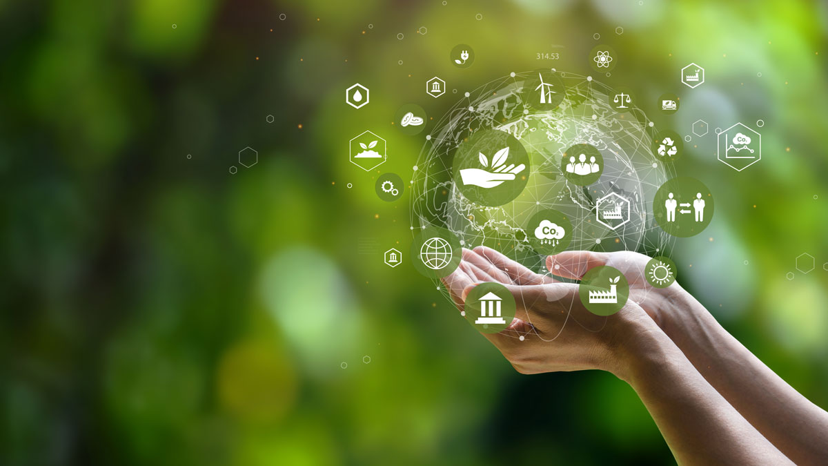 empresa ecológica