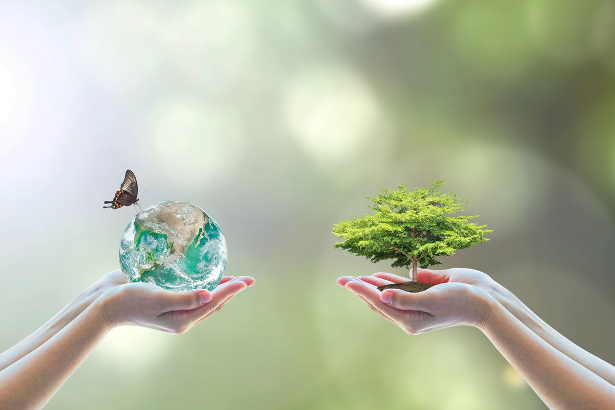 empresa ecológica